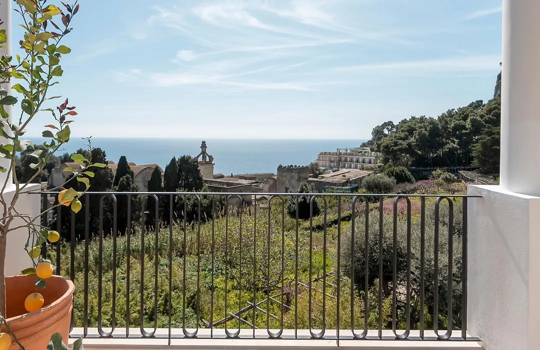Villa Certosa Boutique Hotel Capri-1